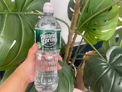 Poland spring 23.7 fl oz