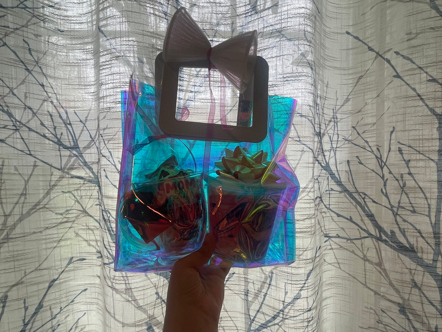 Mom’s special pink blue clear bag