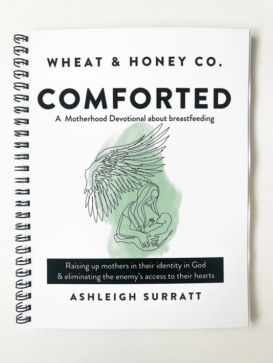 Comforted: A Motherhood Devotional About Breastfeeding