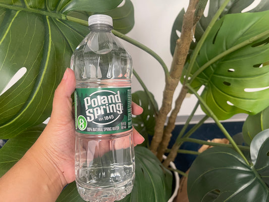 Poland spring water no cap